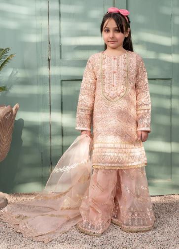 Pink Gharara